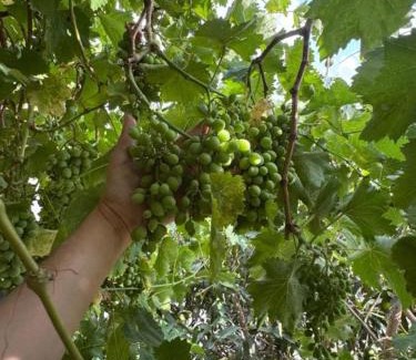 Taif Wohnung | وسام شقة كبيرة 4 غرف نوم وصالة وشرفة-بلكونة- Large apartment with 4 bedrooms, a living room and a balcony