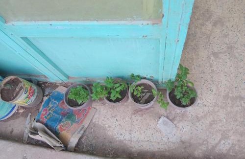 Djelfa Wohnung | ولاية الجلفة