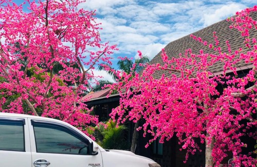 Sao Phao Haus | กอบสุข รีสอร์ท2 k12