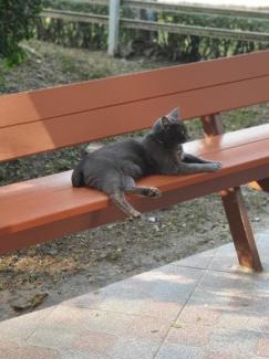Lampang Haus | จำค่า ชาเลท์ บ้านพักสวนเกษตร (Jumka Chalet - Home and Farm Stay)
