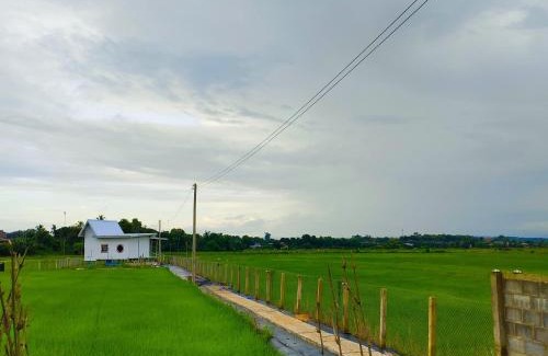 Wiang Sa Haus | ชมนากฤษณา