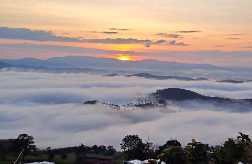 Chiang Saen Sonstige | ดอยสะโง้วิวโฮมสเตย์โดมบอล