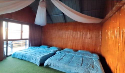 Chiang Saen Haus | ดอยสะโง้วิวโฮมสเตย์บ้านหลังใหญ่