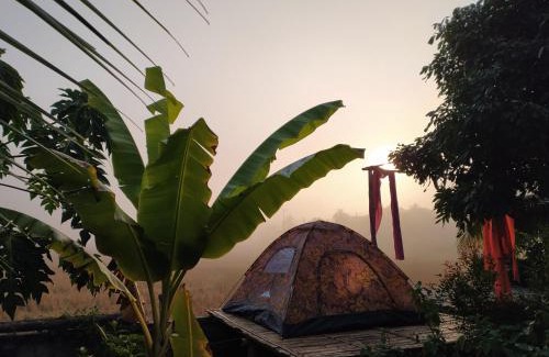 Nan Haus | ต้งโฮมสเตย์ กลางทุ่งนา Local Homestay and View