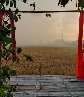 Nan Haus | ต้งโฮมสเตย์ กลางทุ่งนา Local Homestay and View