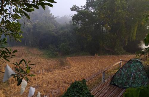 Nan Haus | ต้งโฮมสเตย์ กลางทุ่งนา Local Homestay and View