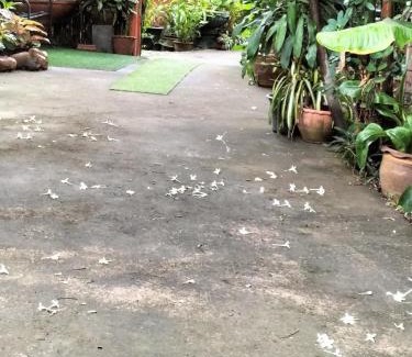 Mueang Nga Haus | ต้งโฮมหละปูน