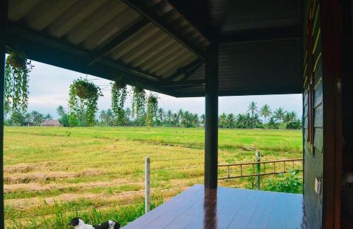Suan Som Haus | ทรัพย์ในดิน ฟาร์มสเตย์