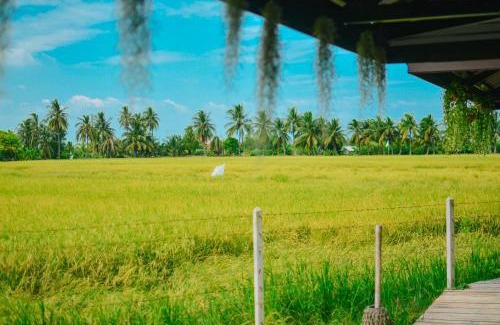 Suan Som Haus | ทรัพย์ในดิน ฟาร์มสเตย์