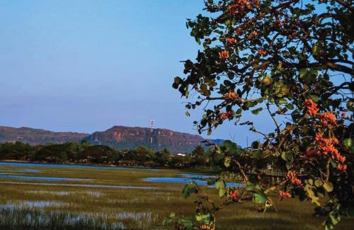 Bung Khong Long Resort | บ้านทุ่ง เคียงบึง รีสอร์ท