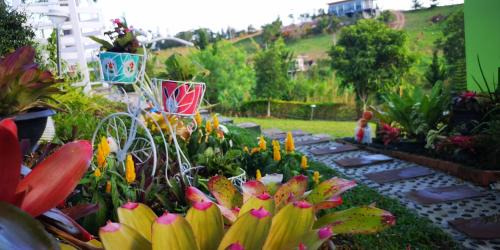 Khaem Son Haus | บ้านปลายฝัน Baanplaifun