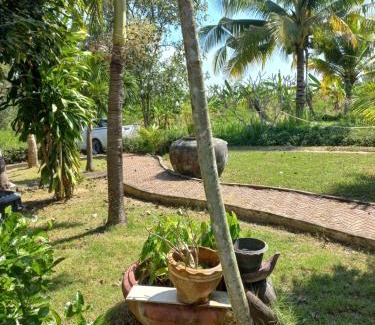 Nong Phlap Haus | บ้านพักคุณยายเขียว