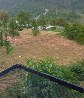 Khao Kho Skihütte | บ้านพัก เย็นเย็นแคมป์ปิ้ง