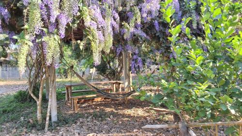 Wang Thong Haus | บ้านมะลิ