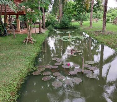 Pa Sang Haus | บ้านสวนนะราโต