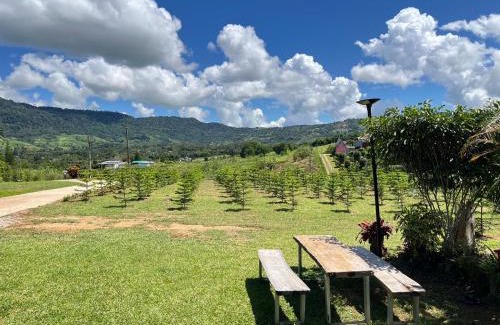 Khao Kho Haus | บ้านสวนหมอกเขาค้อ a2