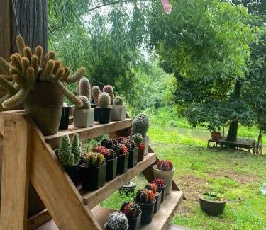 Ban Kha Haus | บ้านสวนอัญญาวิน