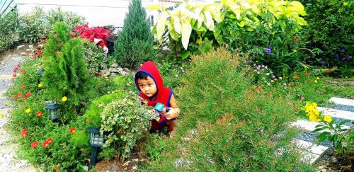 Salaya Haus | บ้านอิงธารา โฮมสเตย์ ศาลายา Baan ing tara homestay salaya