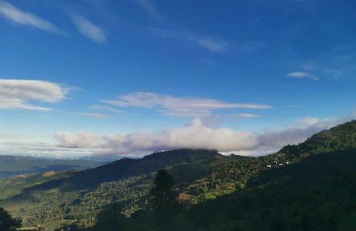 Chiang Rai Province Sonstige | บ้านไร่นายสิงห์-Banrainaysing