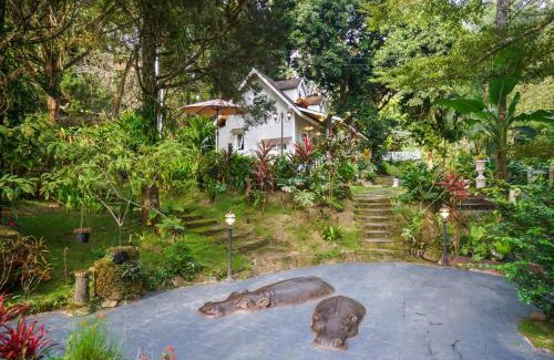 Doi Saket Haus | ปางสูงเฮาส์ Blue mini House