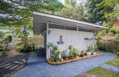 Doi Saket Haus | ปางสูงเฮาส์ pangsung house บ้านมินิ เหลือง