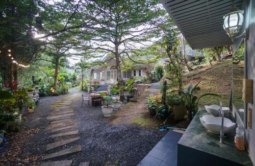 Doi Saket Haus | ปางสูงเฮาส์ pink house