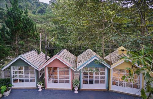 Doi Saket Haus | ปางสูงเฮาส์ pink house