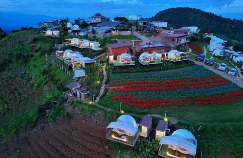 Mae Rim Sonstige | ป๋ายดอย ม่อนแจ่ม