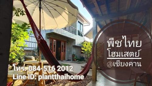 Chiang Khan Haus | พืชไทยเชียงคาน(Plantthai)