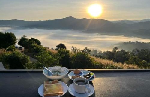 Pong Sonstige | ภูลังกาซีวิว