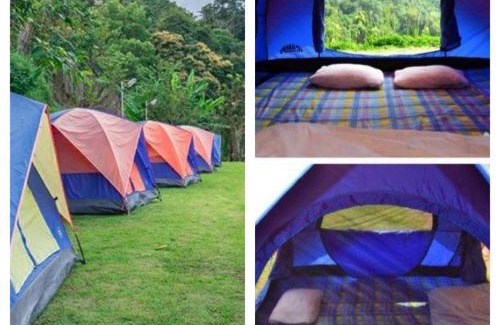 Mae Rim Sonstige | ม่อนหนาว ลานกางเต็นท์