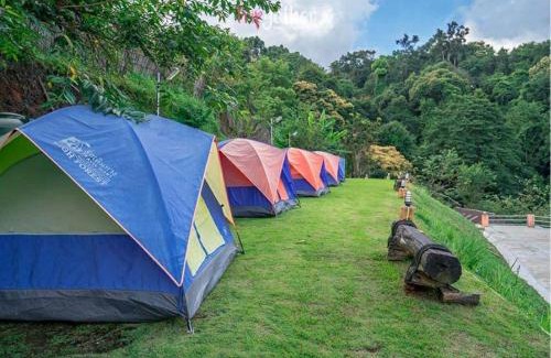 Mae Rim Sonstige | ม่อนหนาว ลานกางเต็นท์