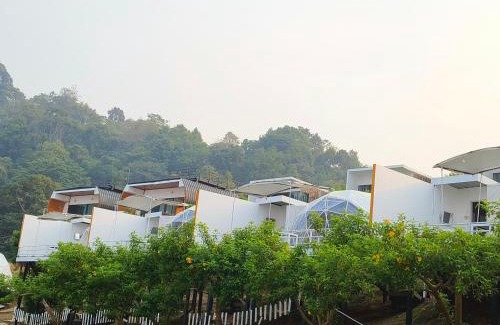 Mae Rim Sonstige | ม่อนหมอกฟ้า ม่อนแจ่ม