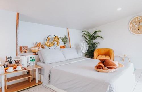 Mae Rim Haus | ม่อนเหนือโฮมสเตย์ Monnuea Homestay