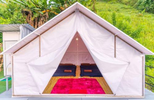 Mae Rim Sonstige | ม่อน ซากุระ ม่อนแจ่ม