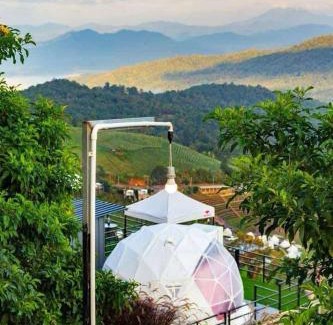 Mae Rim Sonstige | ม่อน ซากุระ ม่อนแจ่ม
