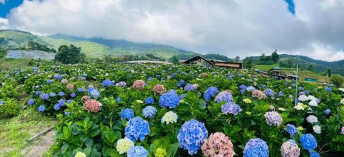 Doi Lo Haus | รักเขาอินทนนท์โฮมสเตย์ Doi inthanon Homestay