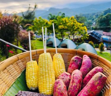 Doi Lo Haus | รักเขาอินทนนท์โฮมสเตย์ Doi inthanon Homestay