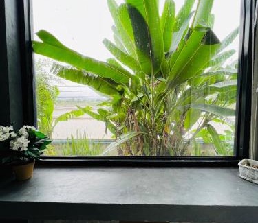Song Haus | ริมยมรีสอร์ท
