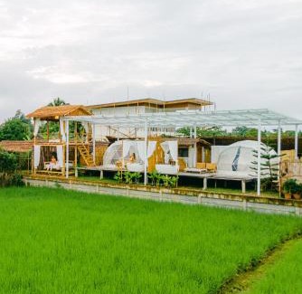 Pua Sonstige | ลองนอนนา Long Non Na