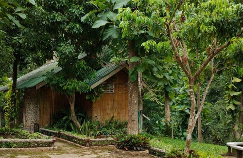 Pang Mu Haus | ลิ้นฟ้าแคมปิ้งรีสอร์ท