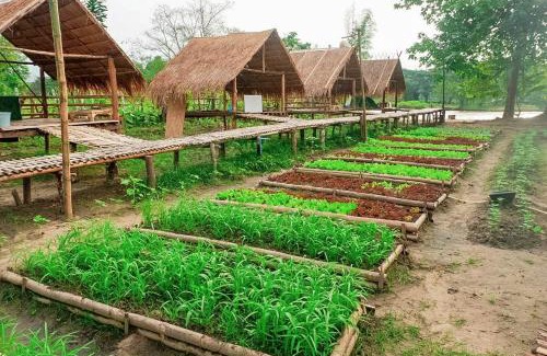 Omkoi Haus | วันเวลา โฮมสเตย์แอนท์แคมป์ปิ้ง