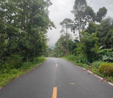 Phrom Khiri Bed & Breakfast | สถานีน้ำหวาน รีสอร์ท น้ำตกอ้ายเขียว