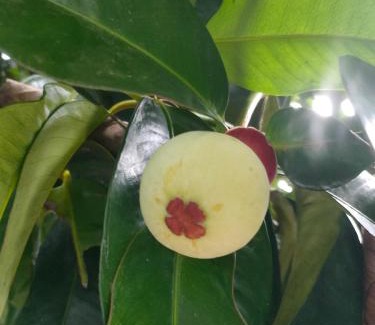 Phrom Khiri Bed & Breakfast | สถานีน้ำหวาน รีสอร์ท น้ำตกอ้ายเขียว