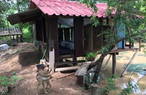 Chiang Kham Haus | สวนบ้านนอก SuanBaanNoak