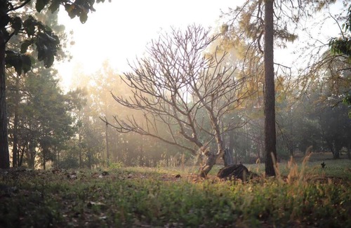 Pang Mu Haus | สวนสน โฮมสเตย์