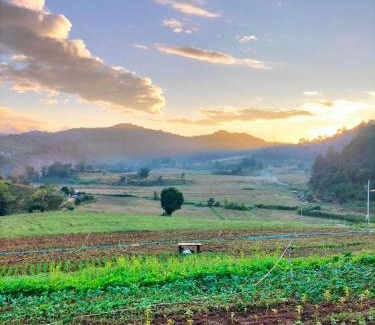 Huai Makhuea Som Sonstige | สวนไร่รุ่งอรุณ Suan Rai Rungarun