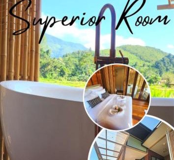 Bo Kluea Hotel | สะปัน กลางนา คาเฟ่ Sapan Klang Na Cafe