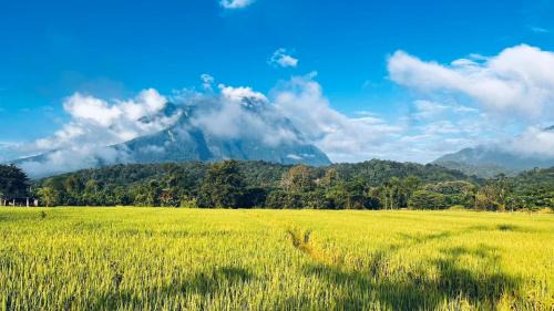 Chiang Dao Kabine | หลงเขา Chiang Dao