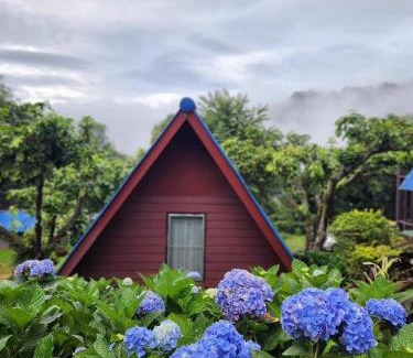 Tap Tao Skihütte | อุกฤษฟาร์มฮิลล์ ภูชี้ฟ้า
